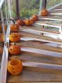 Herbstferien
