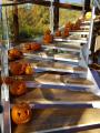 Oktoberferien